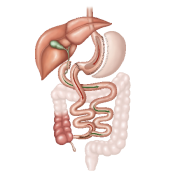 bypass_gastrico_anastomosis